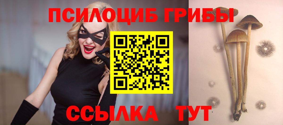 Богданович  Галлюциногенные грибы мицелий  где купить наркотик  Вход с VPN  Псилоцибиновые грибы Psilocybine cubensis 